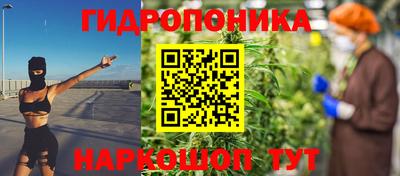 крисы Лесосибирск