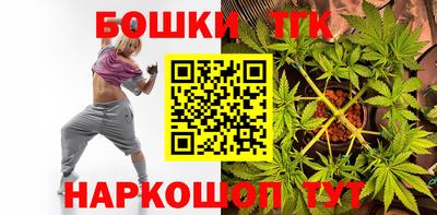 крисы Лесосибирск