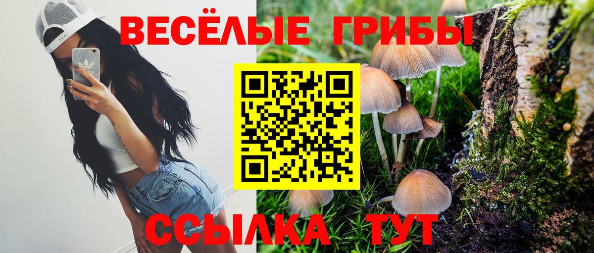 Псилоцибиновые грибы GOLDEN TEACHER Усть-Илимск