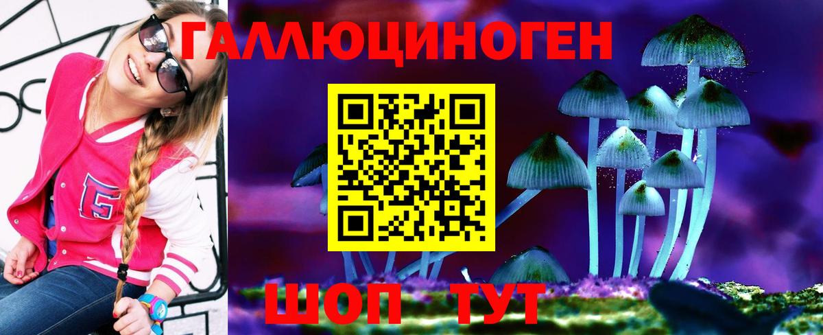 Псилоцибиновые грибы GOLDEN TEACHER  Вход с VPN  купить наркотик  Усть-Илимск 